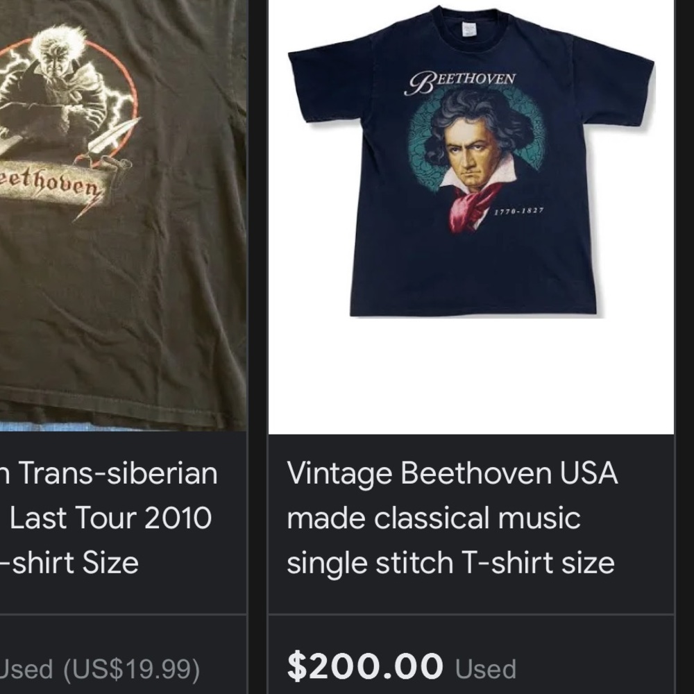 Vintage Beethoven T-Shirt / Anvil / 90s / Single Stitch - Picture 6 of 7